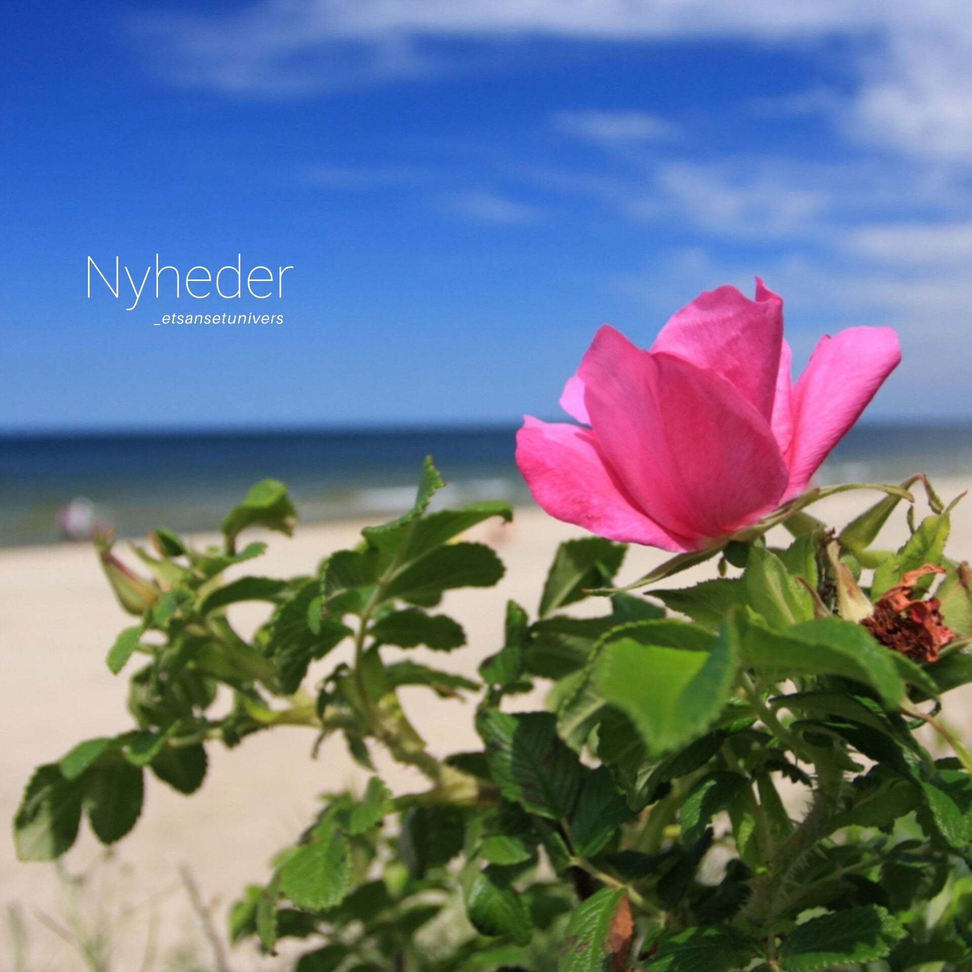 Nyheder