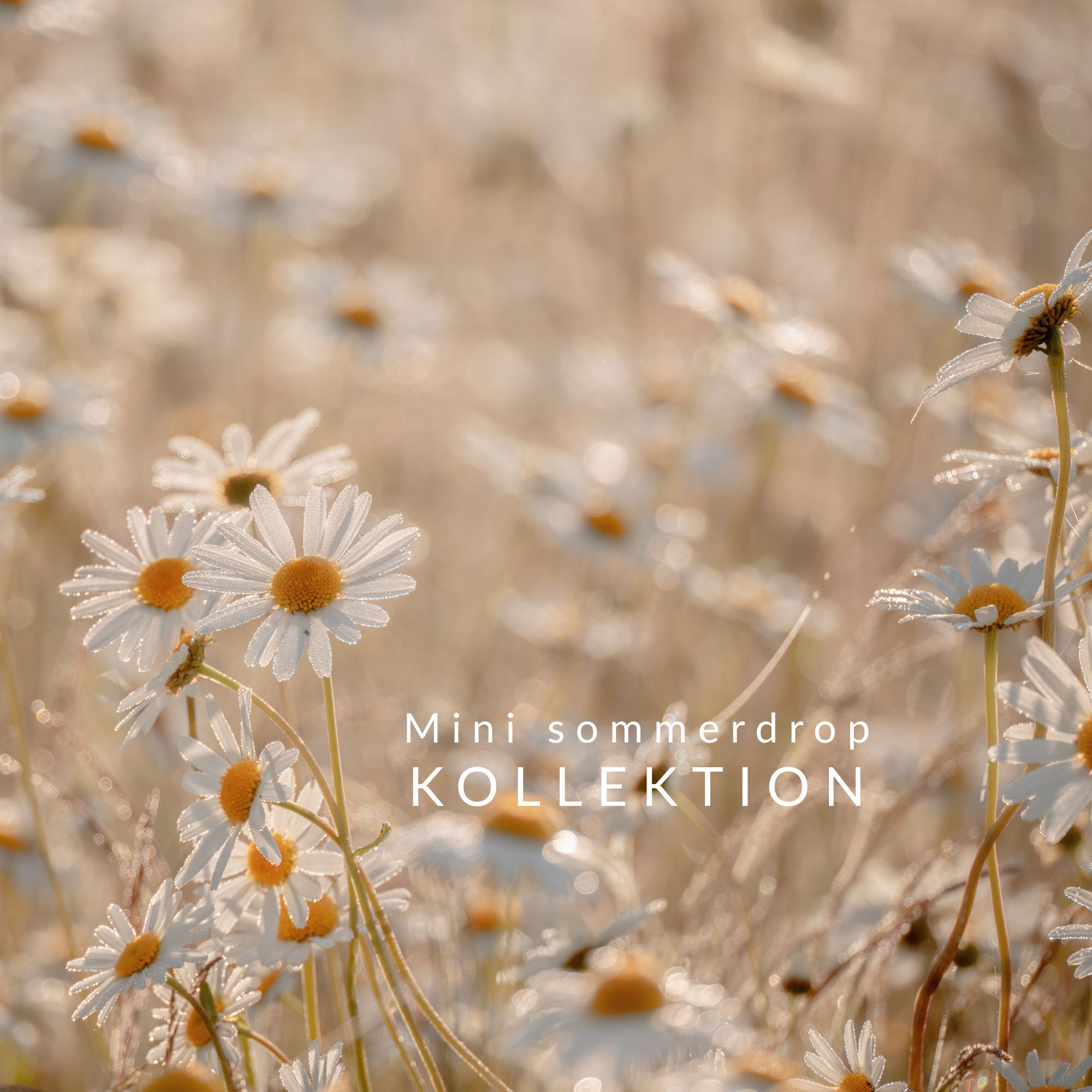 Mini Sommerdrop Kollektion