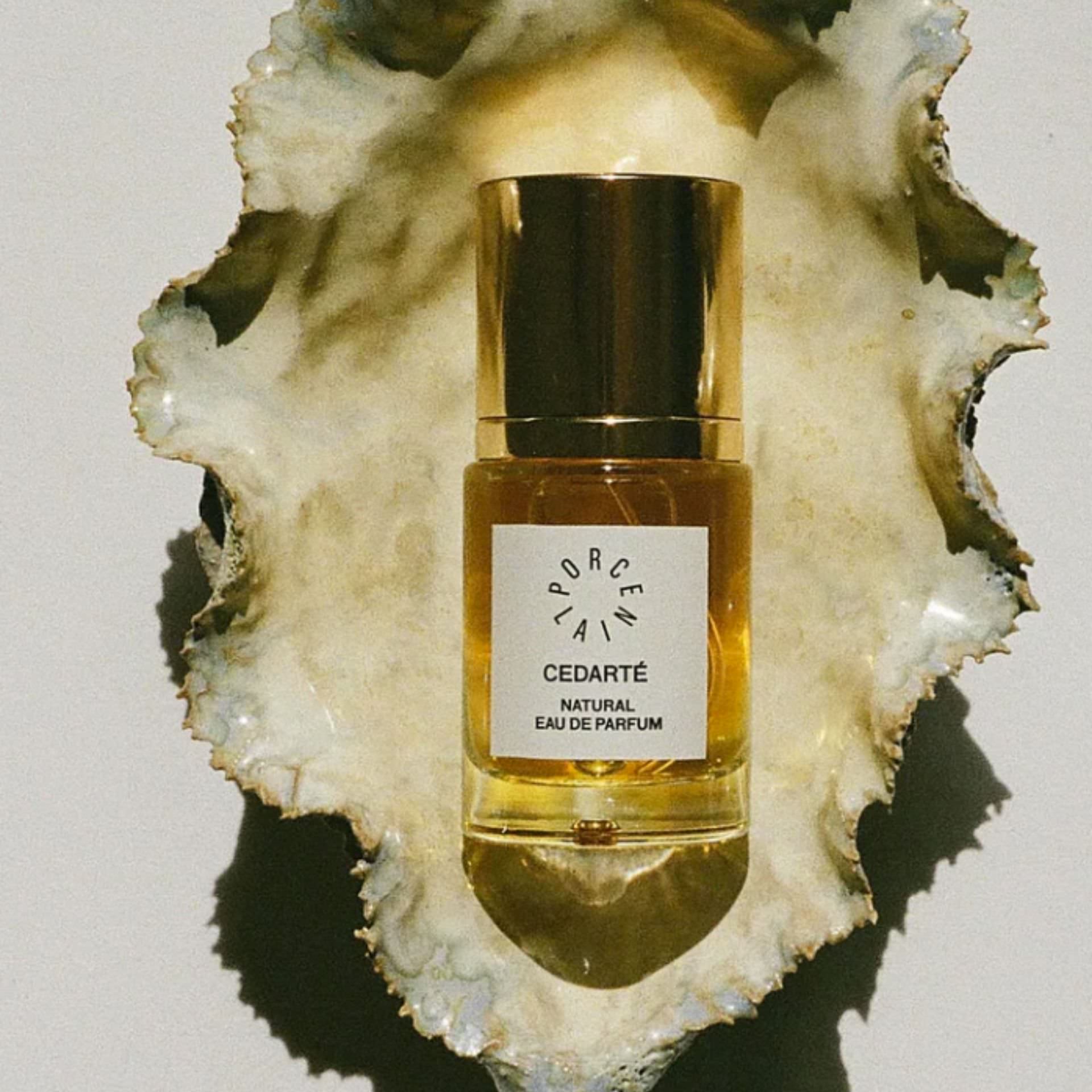 PORCELAIN Cedarté No. 3 – naturlig parfume stylet på smuk østersskal – cedertræ, salvie og labdanum – Et Sanset Univers
