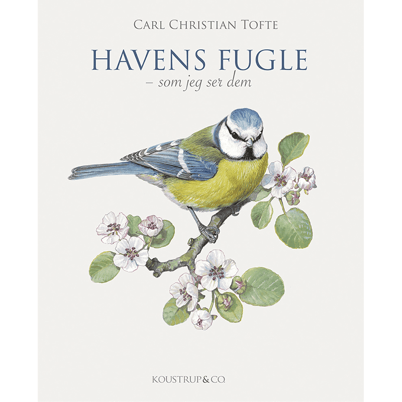 Bog om den danske haves fugle og fugleliv - Et Sanset Univers