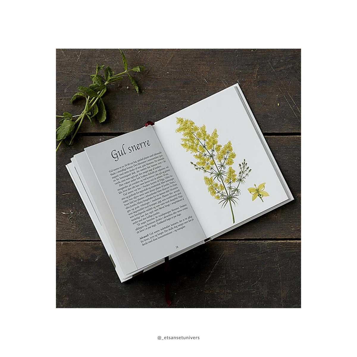Kryddersnaps - Din egen velsmag på flaske