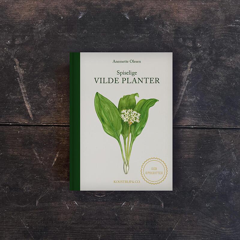 Bog om spiselige vilde planter i naturen – stiliseret - Et Sanset Univers